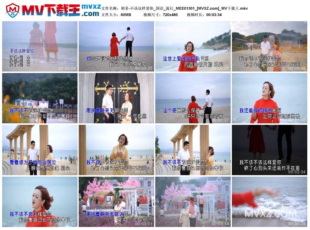 胡菲-不该这样爱你_国语_流行_MEE01301